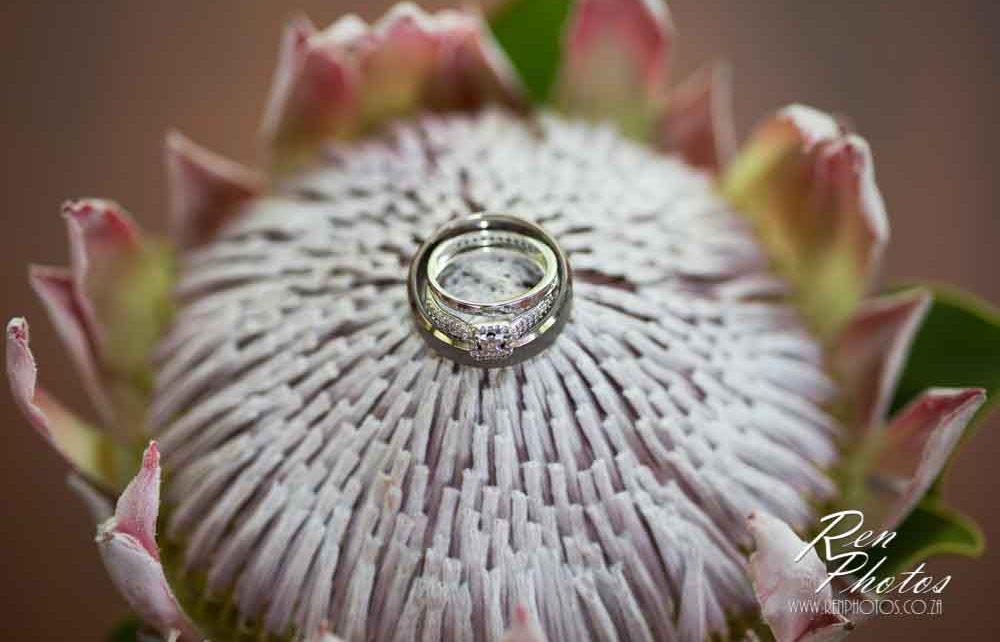 Tips to get your dream wedding photos