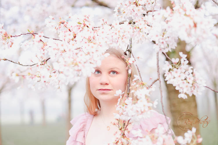 kersenbloesem fotoshoot het amsterdamse bos